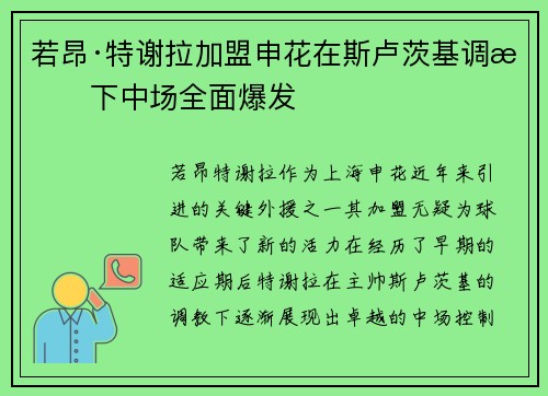 若昂·特谢拉加盟申花在斯卢茨基调教下中场全面爆发