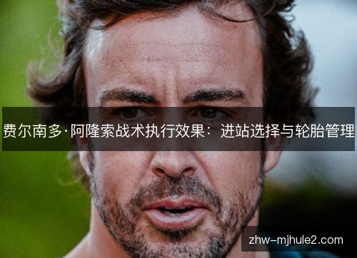 费尔南多·阿隆索战术执行效果：进站选择与轮胎管理